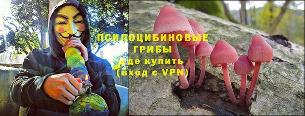 гашик Балахна