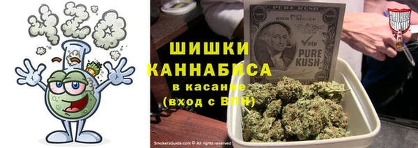 гашик Балахна