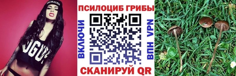 Галлюциногенные грибы ЛСД  сколько стоит  Губаха 